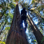 Kayo Chainsaw Protective Climbing Boot