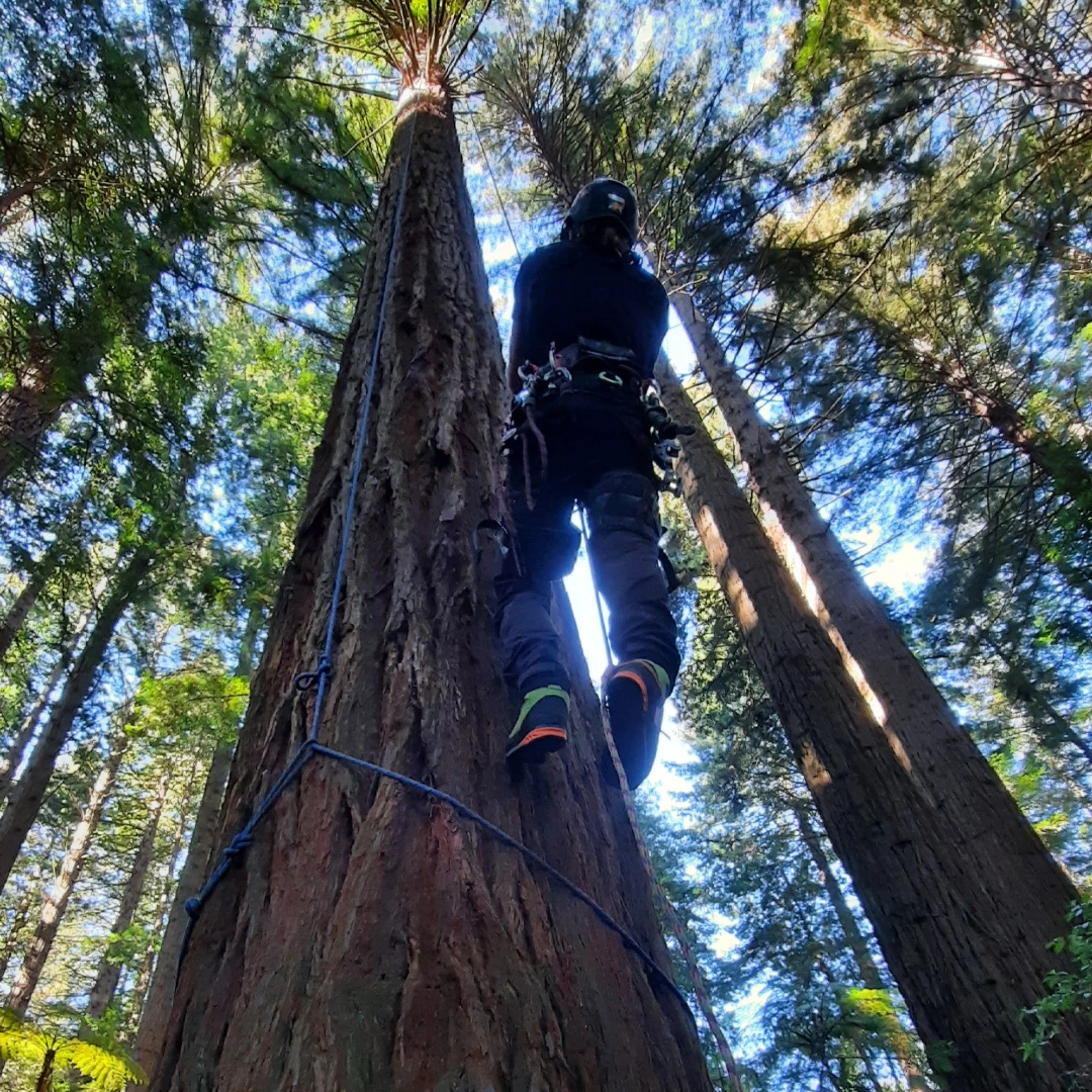 Kayo Chainsaw Protective Climbing Boot