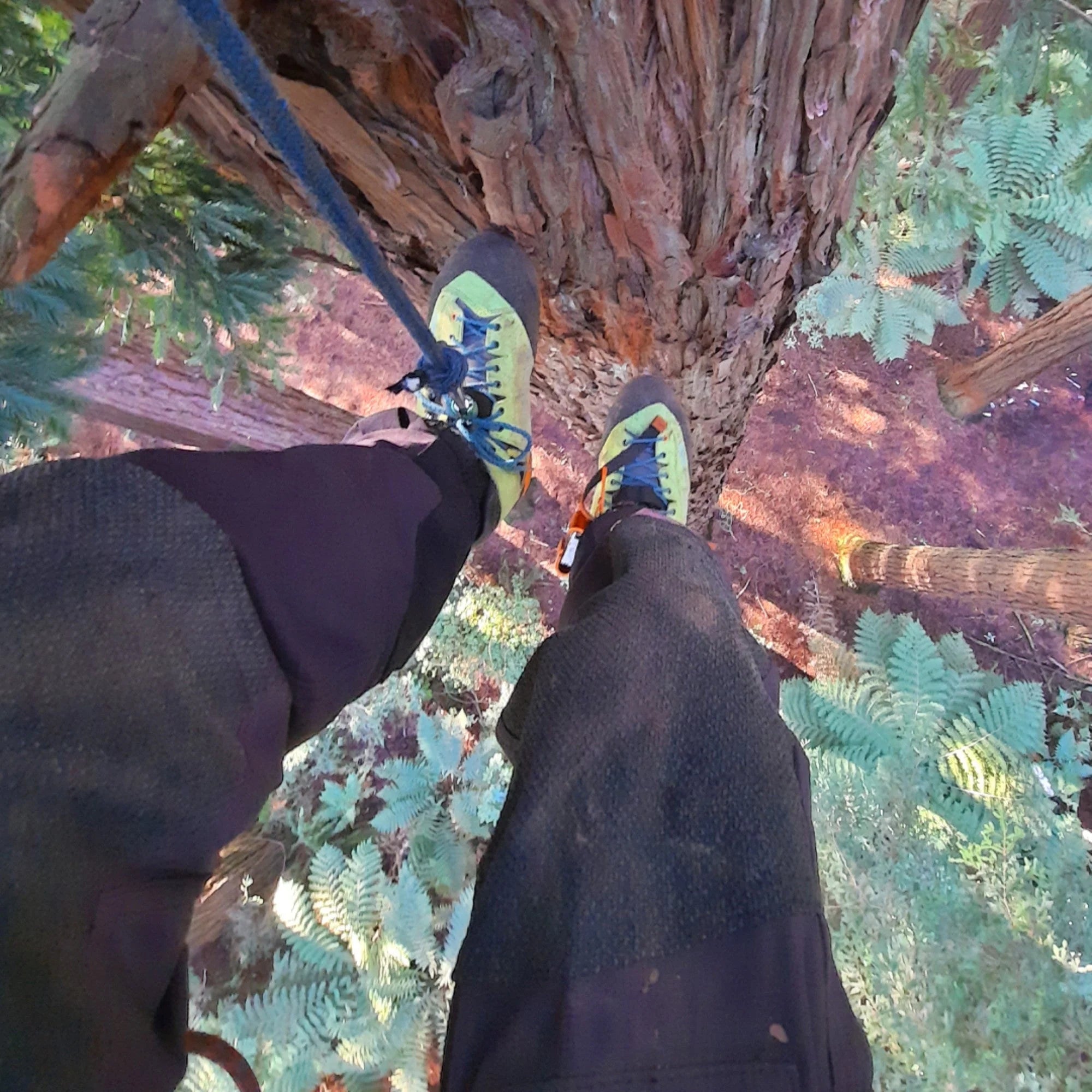 Kayo Chainsaw Protective Climbing Boot