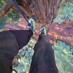 Kayo Chainsaw Protective Climbing Boot