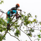 Kayo Chainsaw Protective Climbing Boot